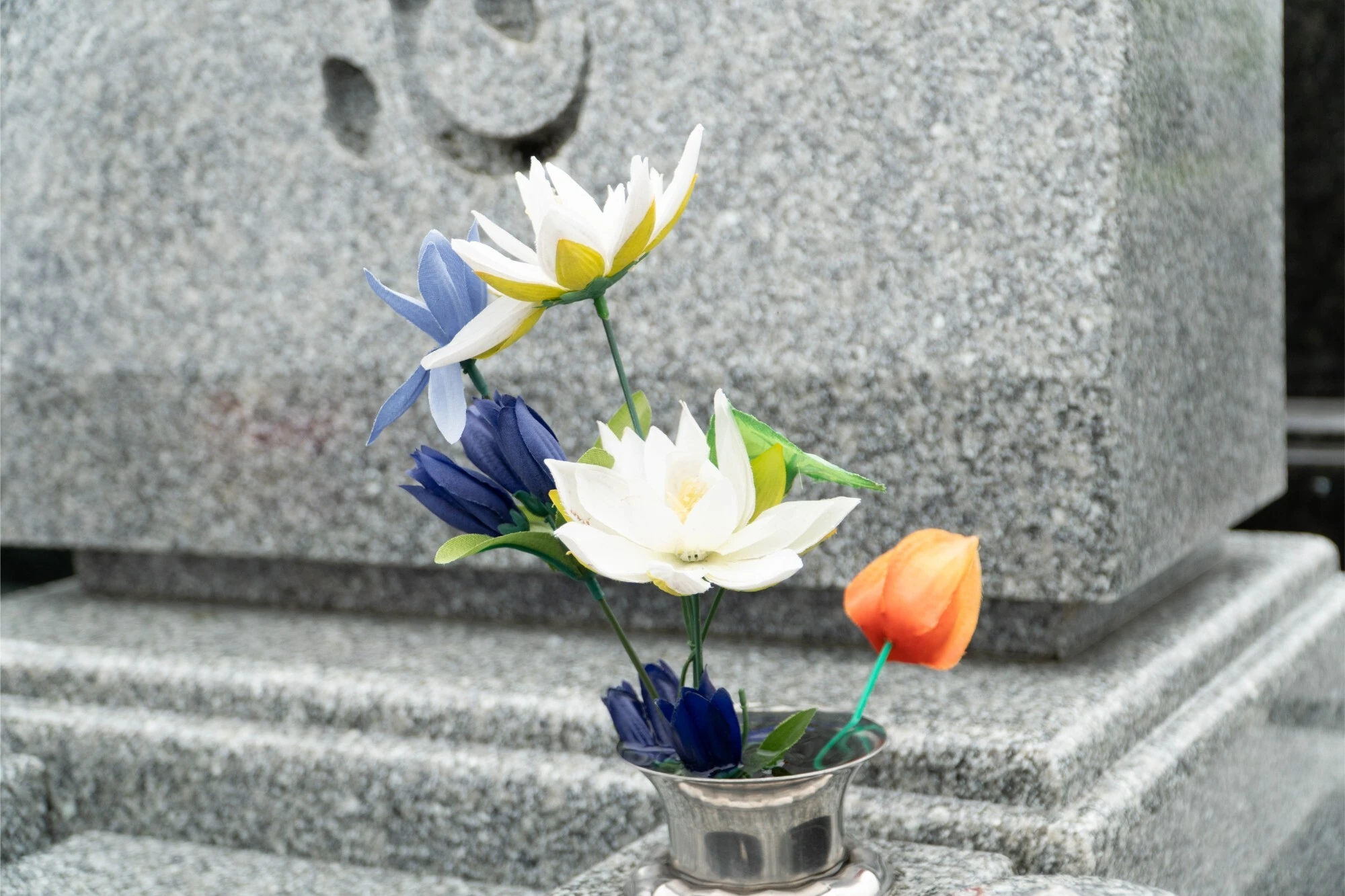 AdobeStock_218560852