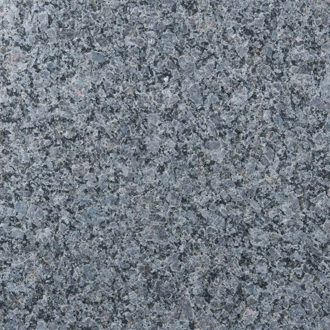 AdobeStock_110569078